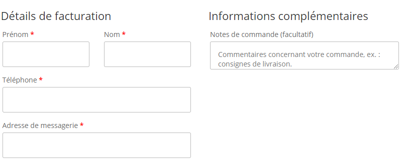 exemple saisie infos panier